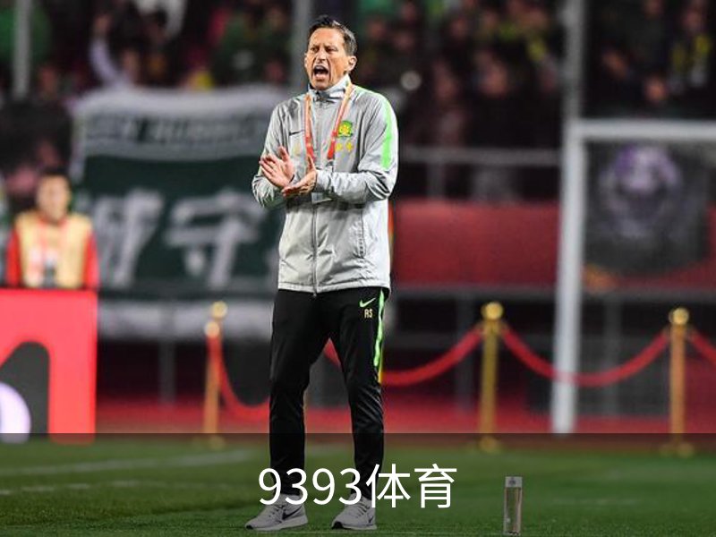9393体育-专业体育投注平台